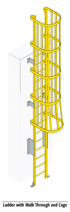 FRP Ladder with Walk Thru and Cage Illustration