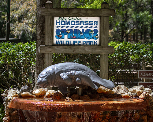 Homosassa Springs Wildlife State Park Entrance Sign and Manatee Fountain Sculpture